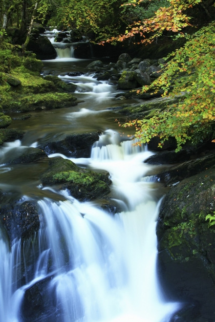Torc Waterfall, Killarney National Park, County Kerry, Ireland PosterPrint - Item # VARDPI1844923