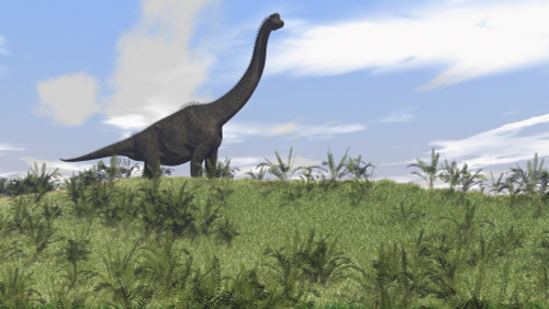 Large Brachiosaurus grazing in an open field Poster Print - Item # VARPSTKVA600136P