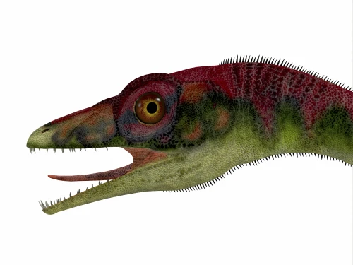 Compsognathus dinosaur portrait. Compsognathus was a small carnivorous theropod that lived during the Jurassic Period of Europe Poster Print - Item # VARPSTCFR200598P