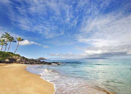 Hawaii, Maui, Makena, Secret Beach, Turquoise Ocean With Palm Trees And Sandy Beach. PosterPrint - Item # VARDPI1975991