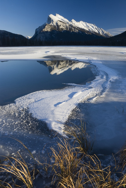 Mount Rundle, Banff National Park, Banff, Alberta PosterPrint - Item # VARDPI1832100