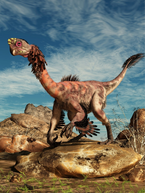 Citipati on a rock in an arid landscape Poster Print - Item # VARPSTDEK600010P