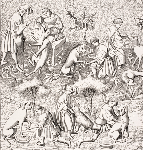 Diseases Of Dogs And Their Cures. 19Th Century Reproduction Of Miniature In 14Th Century Manuscript Of Phoebus PosterPrint - Item # VARDPI1857933