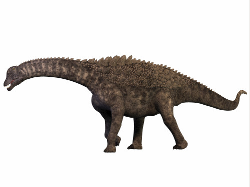 Ampelosaurus was a herbivorous sauropod dinosaur that lived in Europe during the Cretaceous period Poster Print - Item # VARPSTCFR200560P