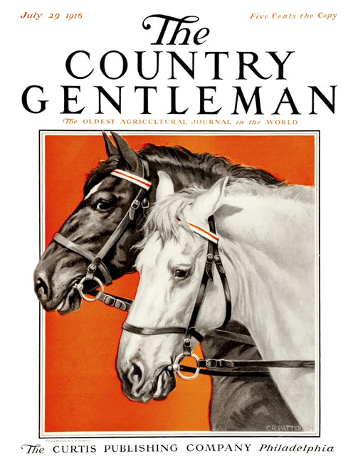 Cover of Country Gentleman agricultural magazine from the early 20th century. . PosterPrint - Item # VARDPI12272325