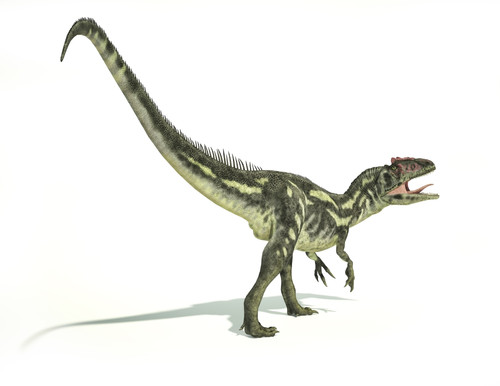 Allosaurus dinosaur on white background with drop shadow Poster Print - Item # VARPSTVET600040P