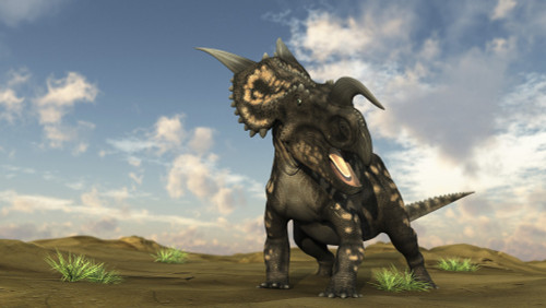 Brown Einiosaurus walking across a barren landscape Poster Print - Item # VARPSTKVA600444P