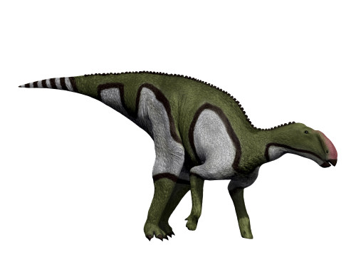 Kritosaurus dinosaur, white background Poster Print - Item # VARPSTNBT600117P