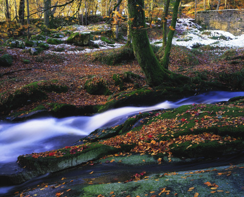 Glenmacnass Waterfall, Co Wicklow, Ireland PosterPrint - Item # VARDPI1803576