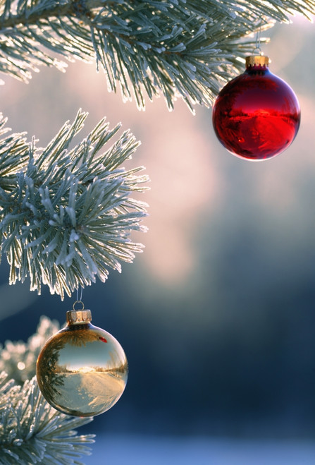 Christmas Ornaments PosterPrint - Item # VARDPI1765731