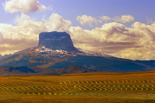 Mountain And Farmer's Field PosterPrint - Item # VARDPI1791222