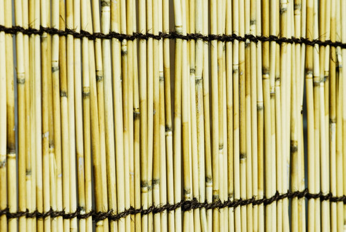 Japan, Tokyo, Meiji Jingu Shrine, Texture Of Bamboo. PosterPrint - Item # VARDPI1976782