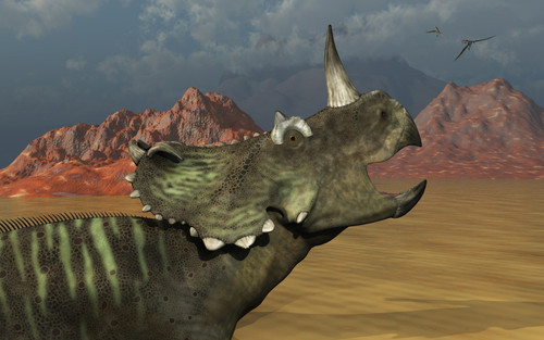A lone Centrosaurus dinosaur calling out to find its herd Poster Print