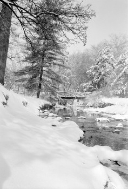 USA  Pennsylvania  Montgomery County  Tookany Creek  Winter brook Poster Print - Item # VARSAL255424490