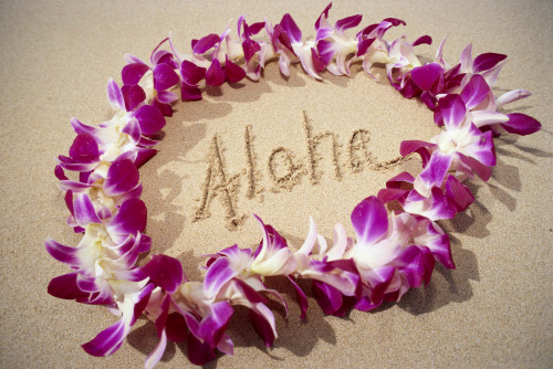 Hawaii, Close-Up Detail Of Purple Orchid Lei On Beach Aloha Written In Sand C1445 PosterPrint - Item # VARDPI1999778