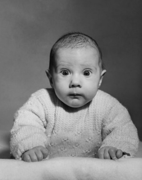 Portrait of a baby looking surprised Poster Print