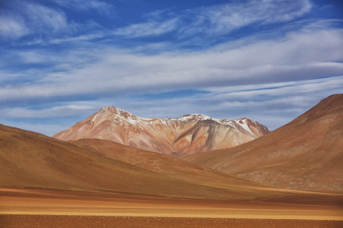 The surreal landscape of Bolivia's Altiplano region, near Uyuni; Bolivia PosterPrint - Item # VARDPI12281379