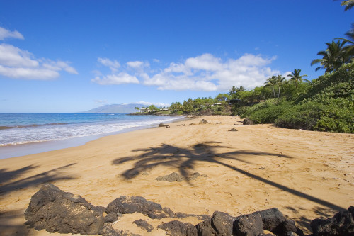 Hawaii, Maui, Makena, Chang's Beach, Shadow Of Palm Tree On Sand. PosterPrint - Item # VARDPI1992308