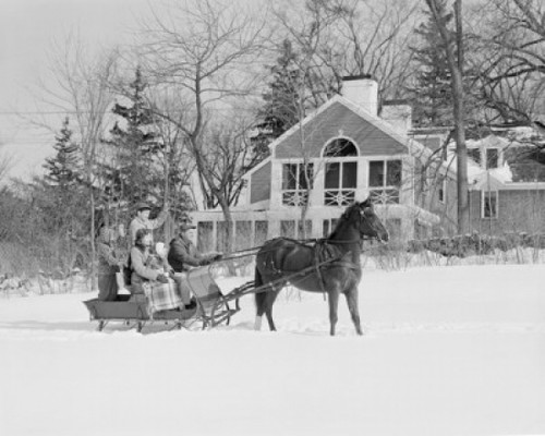 Sledging party in winter scenery Poster Print - Item # VARSAL255416363