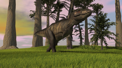 Tyrannosaurus Rex hunting in grasslands Poster Print - Item # VARPSTKVA600669P