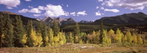 http://c328301.r1.cf1.rackcdn.com/PPI124254S.jpg
