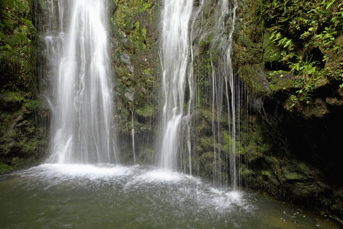 Hawaii, Maui, Makamakaole Gulch, Waihee Ridge Trail, Waterfall and pond. PosterPrint - Item # VARDPI2116346