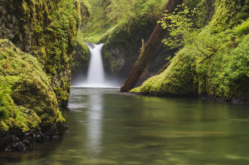 Punchbowl Falls; Oregon, United States of America PosterPrint - Item # VARDPI12281443