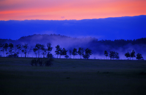 Sunrise Over Field With Trees PosterPrint - Item # VARDPI12912