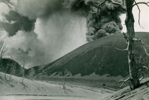 Poster Print - Item # VARSAL9901992