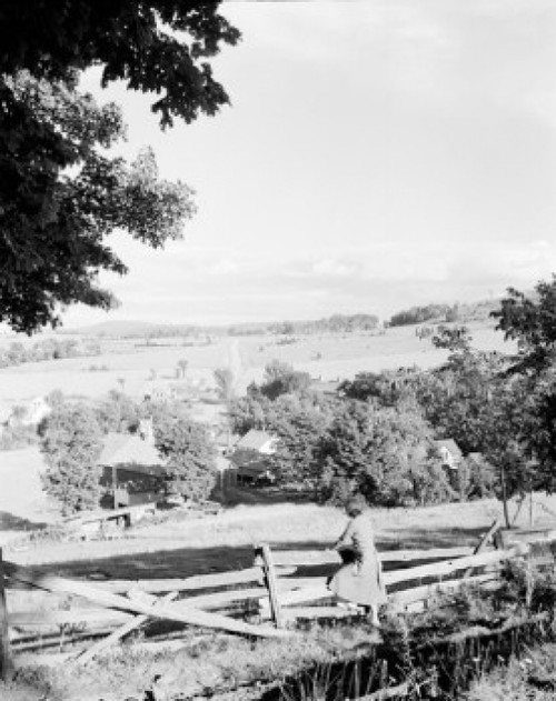 USA  Vermont  West Glover  woman leaning against fence looking at village Poster Print - Item # VARSAL255424067