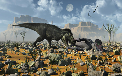 A carnivorous Tyrannosaurus Rex feeding on a Triceratops carcass Poster Print - Item # VARPSTMAS100808P