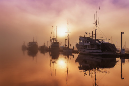 Fog lifting over Auke Bay Harbor, Juneau, Southeast Alaska PosterPrint - Item # VARDPI2429783