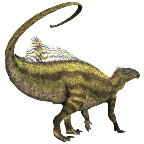 Tenontosaurus was an ornithopod herbivorous dinosaur that lived during the Cretaceous Period of North America Poster Print - Item # VARPSTCFR200286P
