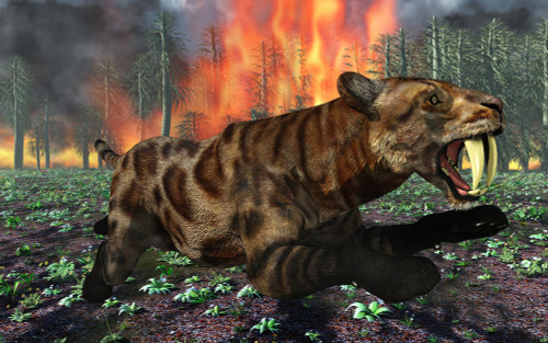 A Saber-Toothed Tiger running away from a forest fire Poster Print - Item # VARPSTMAS100803P