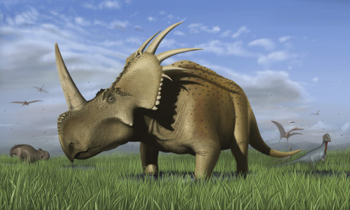 Group of dinosaurs grazing in a grassy field. Visible are Styracosaurus, Stegoceras, Udanoceratops and Quetzalcoatlus. Poster Print - Item # VARPSTMDE100030P