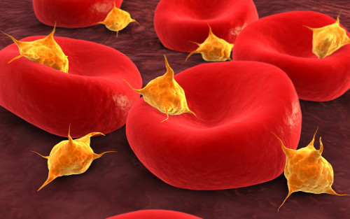 Conceptual image of platelets with red blood cells Poster Print - Item # VARPSTSTK700754H