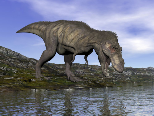 Tyrannosaurus rex dinosaur walking to the edge of water Poster Print - Item # VARPSTEDV600150P