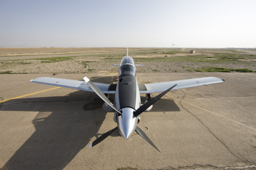 COB Speicher, Tikrit, Iraq - A T-6 Texan trainer aircraft of the Iraqi Air Force Poster Print - Item # VARPSTTMO100243M