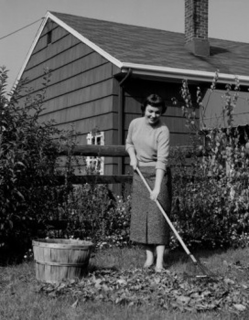 Smiling young woman raking dead leaves Poster Print - Item # VARSAL255422107