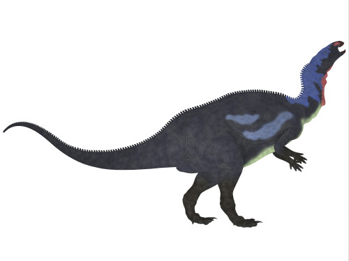 Camptosaurus, a herbivorous dinosaur from the Late Jurassic Period Poster Print - Item # VARPSTCFR200180P