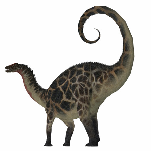 Dicraeosaurus was a sauropod herbivorous dinosaur that lived in the Jurassic Era of Tanzania, Africa Poster Print - Item # VARPSTCFR200576P