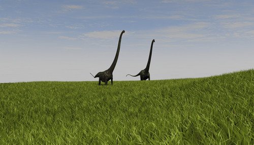Two Mamenchisaurus walking across a grassy field Poster Print
