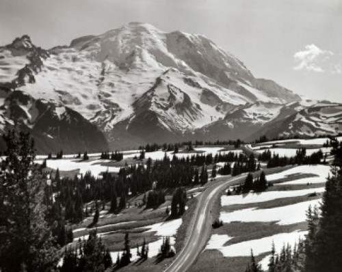 Mount Rainier  Mount Rainier National Park  Washington  USA Poster Print - Item # VARSAL25539213