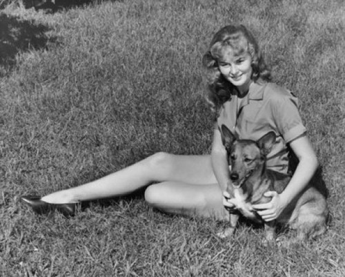 Teenage girl sitting on a lawn with a dog Poster Print - Item # VARSAL25517465