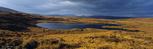 Lake In A Bog, Oughterard, Connemara, County Galway, Republic Of Ireland PosterPrint - Item # VARDPI1798787