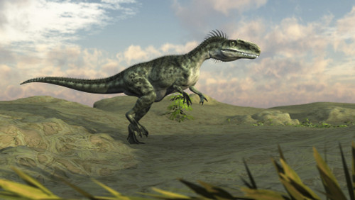 Monolophosaurus walking across desert terrain Poster Print - Item # VARPSTKVA600548P