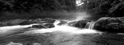 USA, North Carolina, Tennessee, Great Smoky Mountains National Park, Little Pigeon River, River flowing through a forest Poster Print - Item # VARPPI172762
