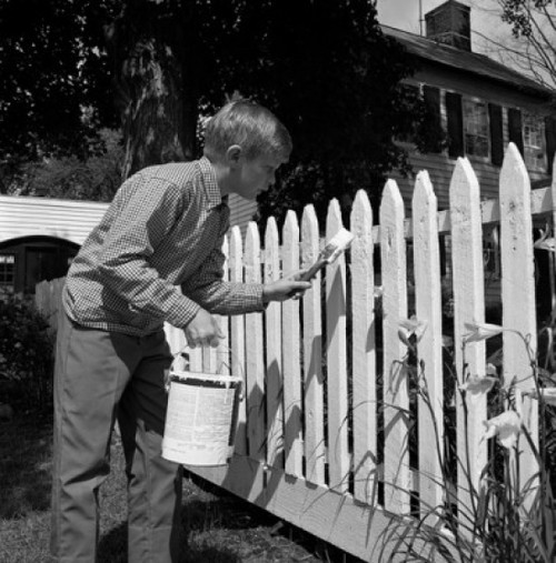 Boy painting wooden fence Poster Print - Item # VARSAL255416407