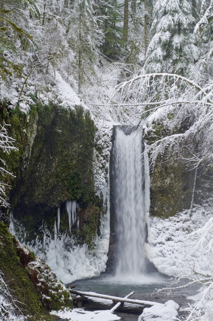 Oregon, United States Of America; Wiesendanger Falls In Winter In The Columbia River Gorge PosterPrint - Item # VARDPI1875414