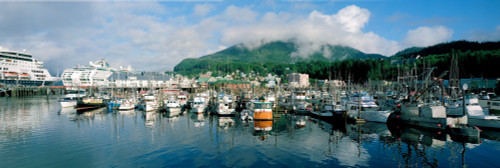 Ships and boats moored at a harbor, Ketchikan Harbor, Ketchikan, Alaska, USA Poster Print - Item # VARPPI117696